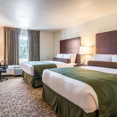 Studio Suite, 1 Queen Bed, Non Smoking (2 Queen Beds with Sofa Bed) Cobblestone Hotel & Suites - Greenville Promo Code