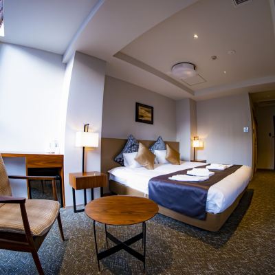 スーペリア ダブルルーム ホテルエスプレッソサウス クーポン