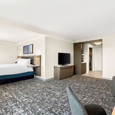 一卧室特大號床套房 聖馬特奧希爾頓花園旅館優惠