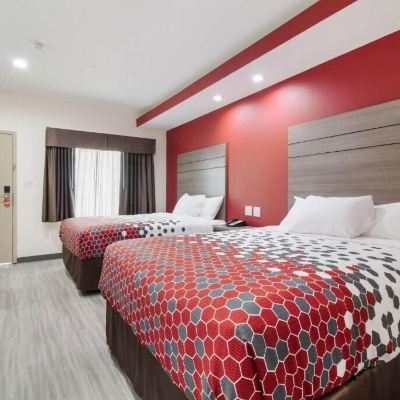 Basic Double Room, Mobility Accessible, Non Smoking Econo Lodge Inn & Suites Humble FM1960 - IAH Airport Promo Code