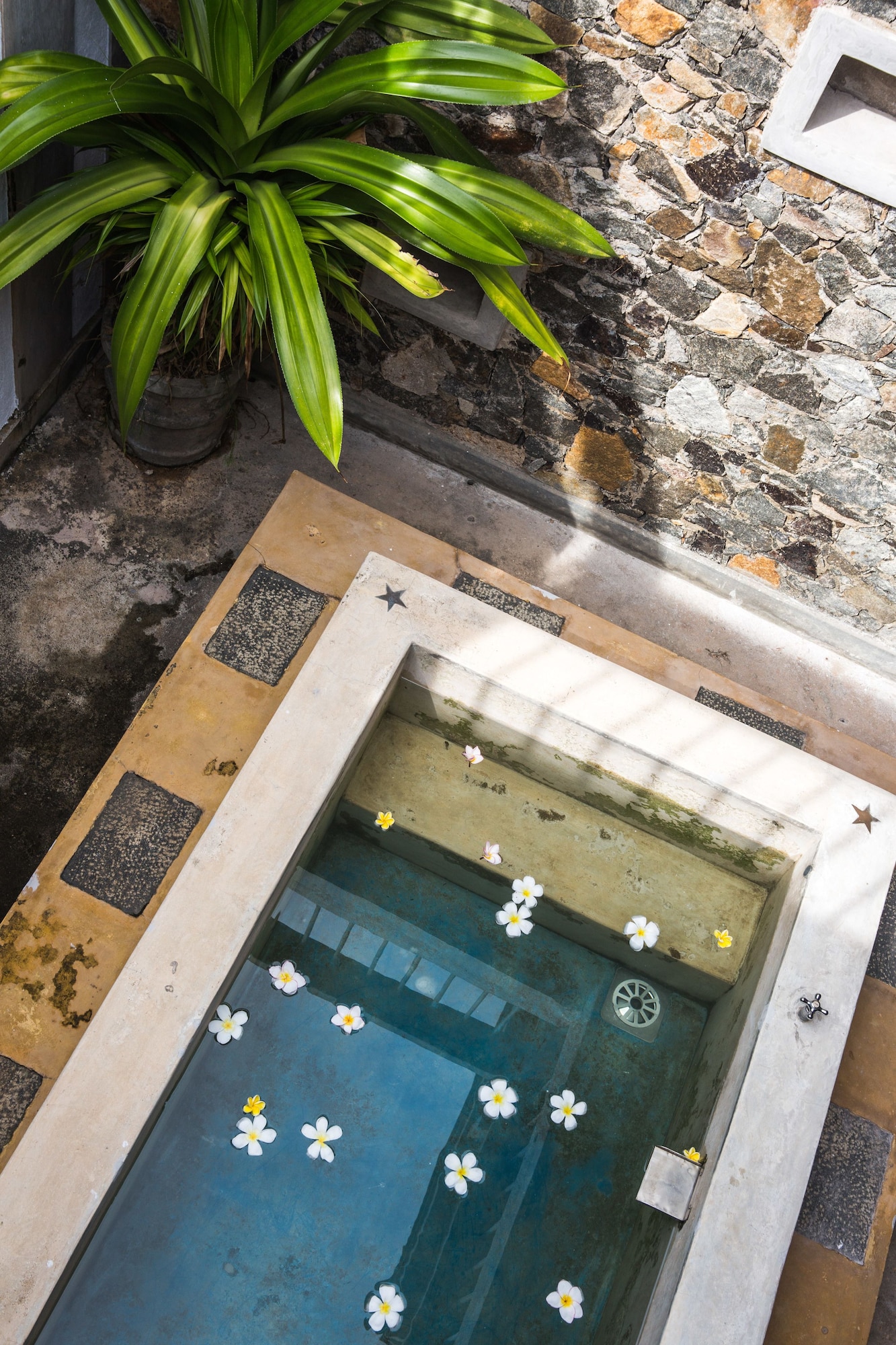 池景豪华家庭套房