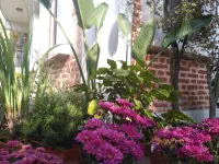 Queen Forest Homestay Hotel di Nagarjun