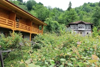Satiroglu Konagi Hotels in 