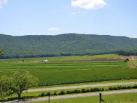 Mountain Cove Farms Resort Hotels in Walker County