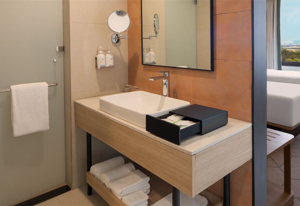 2张双床 标准房 池景