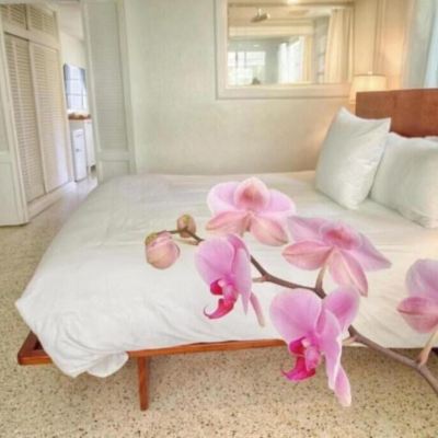 Wild Water Casa Morada Promo Code