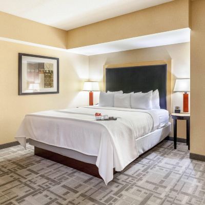 One-Bedroom Suite-Non-Smoking Cambria Hotel Pittsburgh - Downtown Promo Code