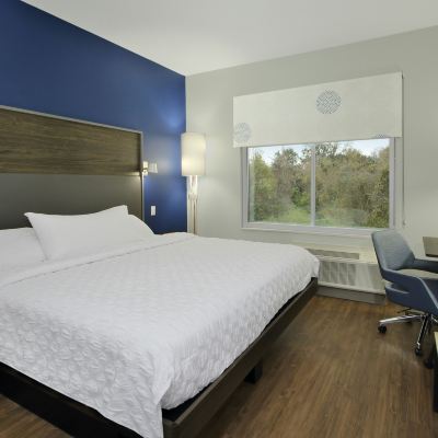 King Room Tru by Hilton Mobile Promo Code