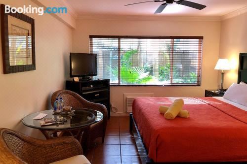 带园景一室公寓