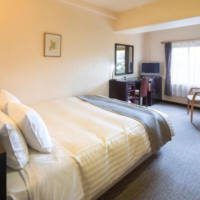 スーペリアダブル 禁煙 奈良ロイヤルホテル クーポン