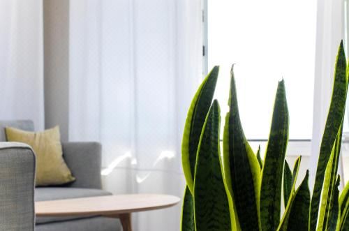 带私人按摩浴缸的两卧室套房（1）