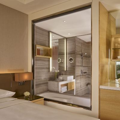 King Room with Elante Mall View Hyatt Regency Chandigarh Promo Code