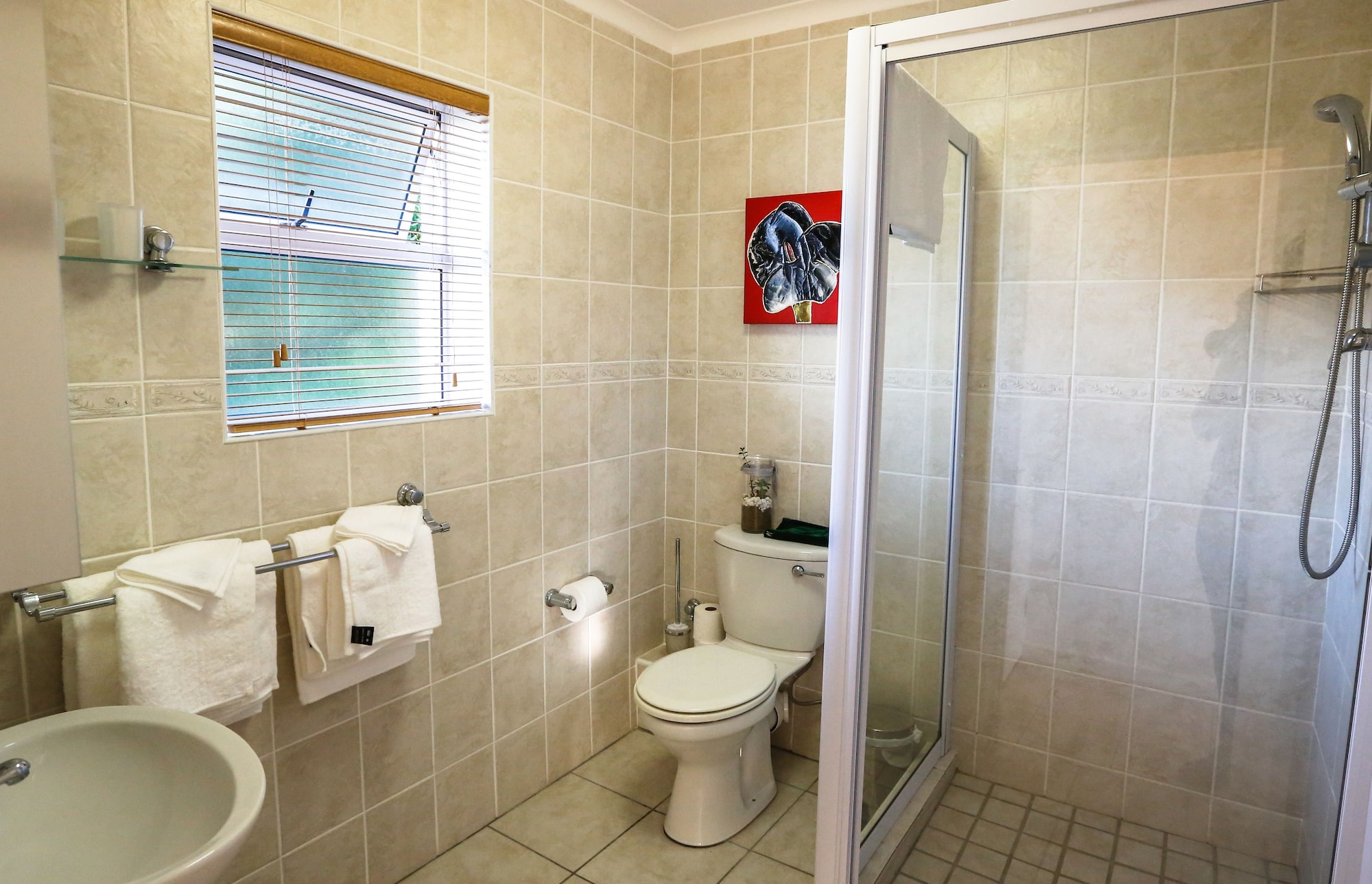 奢华套房（Protea）