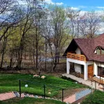 Provence Suceava