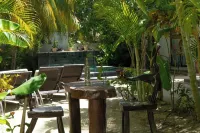 La Puerta Azul Beachfront - Adults Only