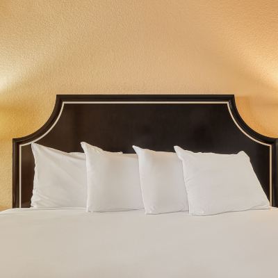 Room Type Assigned On Arrival Tropicana Laughlin Promo Code