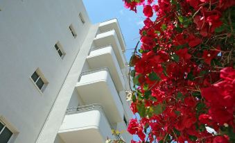 Corina Suites & Apartments