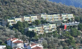 a hillside with a row of apartment buildings on top of it , surrounded by trees at Happy Hotel Kalkan