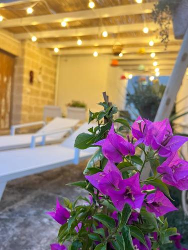 带露台的双人房