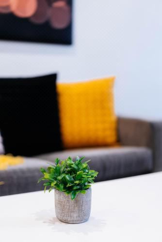 带阳台的两卧室公寓