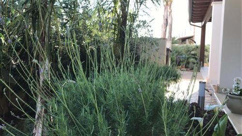 带露台的双人房