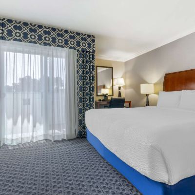 Suite-1 King Bed, Non-Smoking, 2 Room, Sofabed, Balcony, Refrigerator Best Western Plus Marina Shores Hotel Promo Code