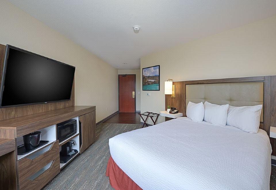 无障碍标准大床房