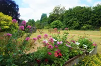 Greyfriars Lodge Canterbury Отели в г. 