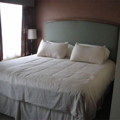 Suite, 1 King Bed with Sofa Bed, Refrigerator&Microwave Randolph Inn and Suites Promo Code
