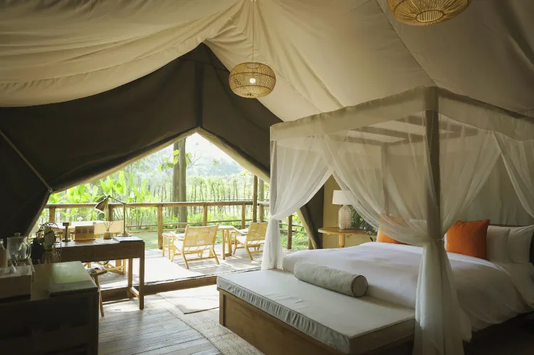 Tent, 1 Twin Bed, Canal View