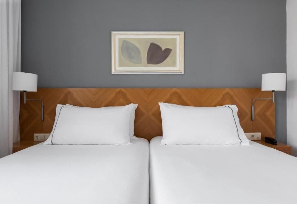 豪华双人床房（带加床）