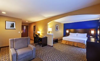 Holiday Inn Express & Suites Houston-Dwtn Conv Ctr