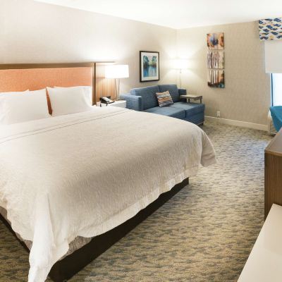 King Study With Sofabed-Non Smoking Hampton Inn Clarks Summit Promo Code