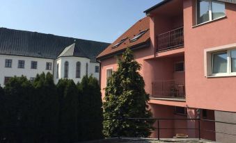DEPENDANCE PATRIOT Trnava - Housity