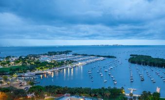 Miami Vacation Rentals - Coconut Grove