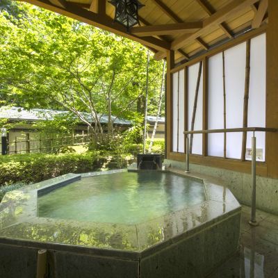 Deluxe, Japanese-Style with Bath, Garden View