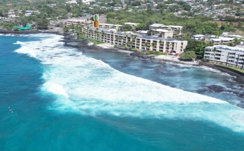 两卧室公寓-海景