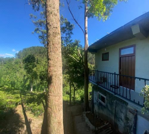 带山景的双人间