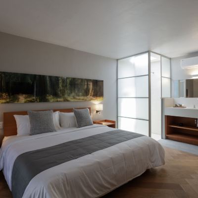 Deluxe Studio Suite Casa Bosque Eduviges Promo Code