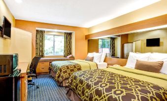 Microtel Inn & Suites by Wyndham Newport News Airport