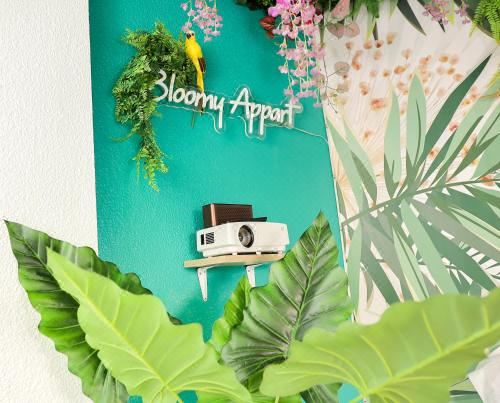 开放式客房， 山景