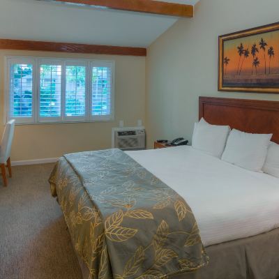 King Room with View The Dana on Mission Bay Promo Code