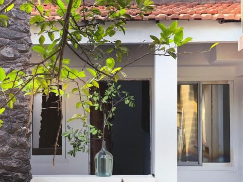 Casa Cacheu Guest HouseDeluxe Double Room with Shower