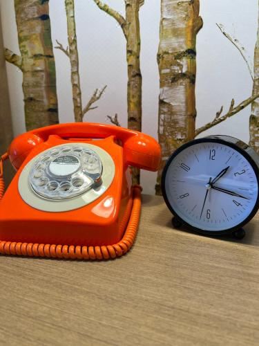 大床间 - 带2张大床