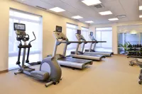 SpringHill Suites Detroit Metro Airport Romulus