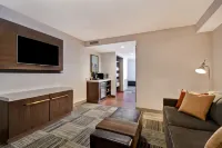 Hilton Garden Inn Houston/Galleria Area