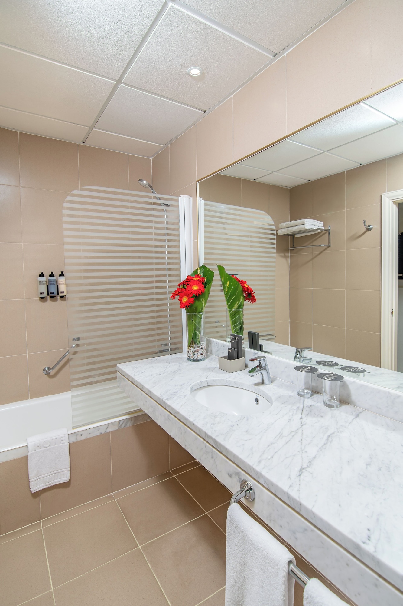 带单人床的双人间