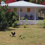 Hotel le Soleil Levant Hotéis em 