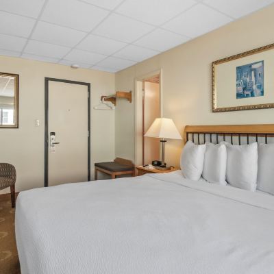 King Room Safari Motel Boardwalk Promo Code