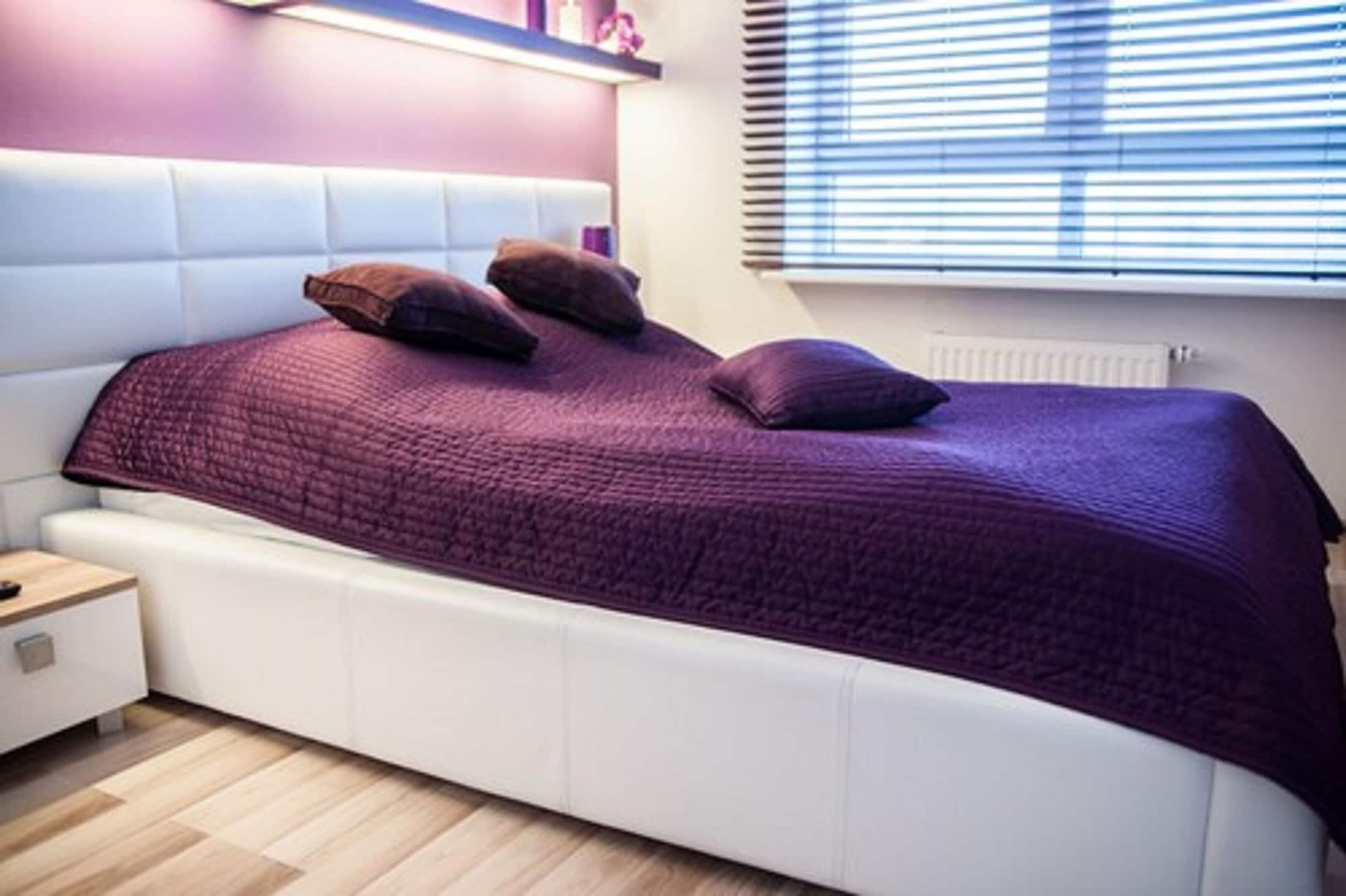 豪华公寓，1卧室（50平方米）